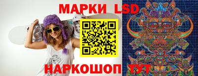 СК Шахты